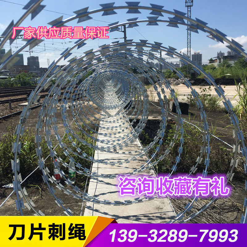 刀片刺绳刺网不锈钢刺丝滚笼热镀锌防盗网带刺铁丝防爬钢丝铁蒺藜