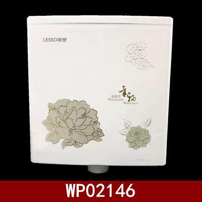 联塑WP02146双按节能冲水箱家用卫生间壁挂式蹲厕蹲坑大冲力水箱