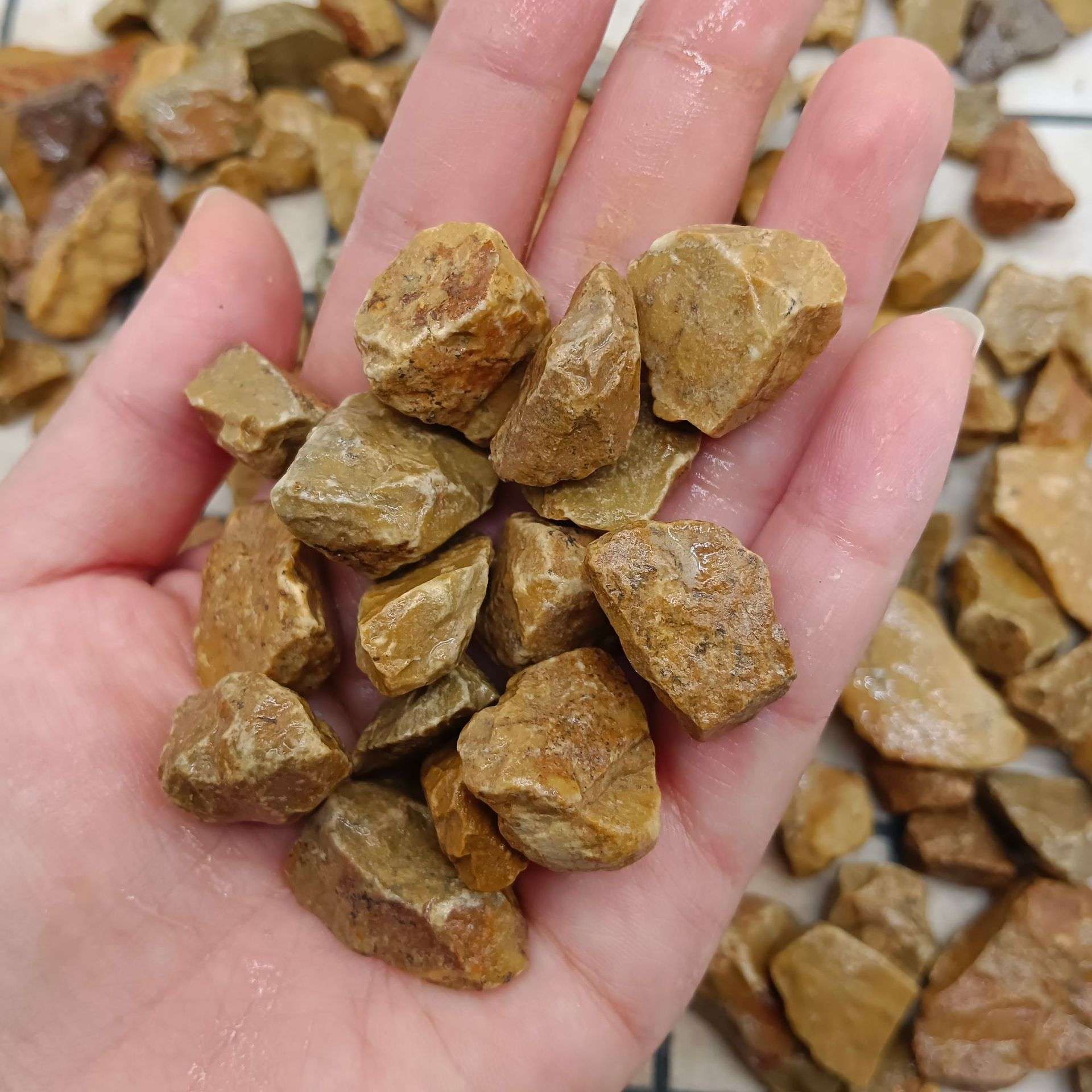 现货地板黄石子水洗石鹅卵石庭院铺路园林工程胶粘石砾石黄色石子