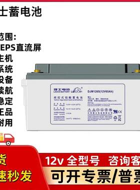 理士蓄电池 DJM12-38S 铅酸免维护电池DJM12-65 12v24a38a65a100a