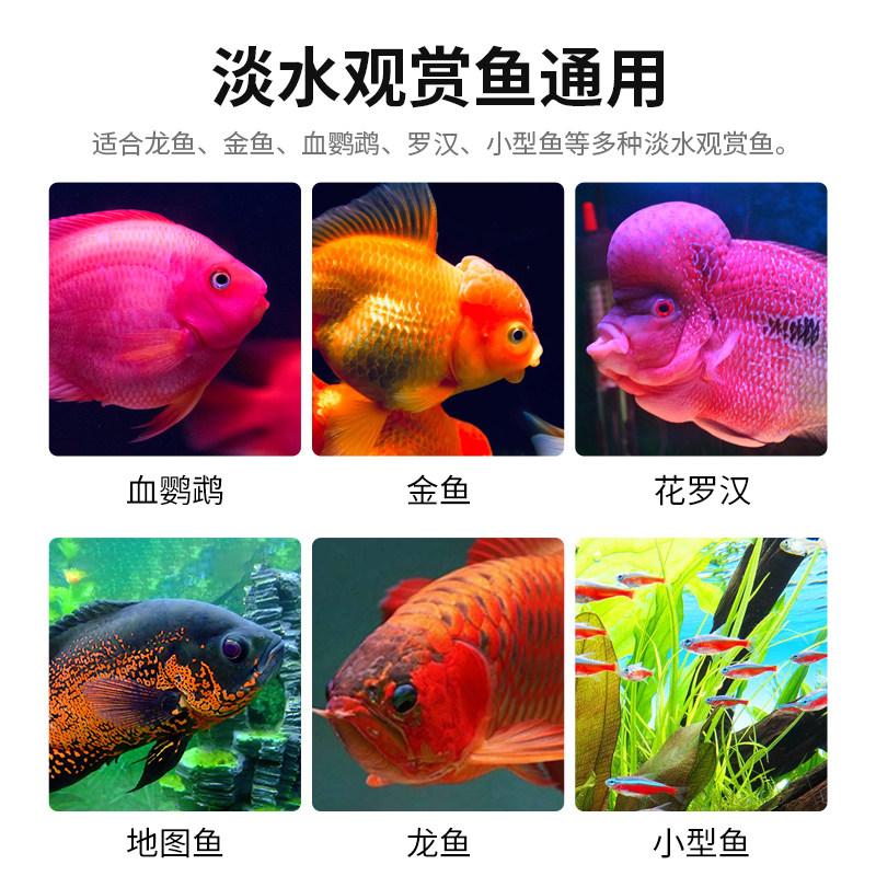 观赏鱼热带鱼血鹦鹉锦鲤金鱼白点净烂鳍烂尾病头洞水族水质护理剂