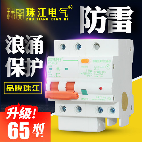 珠江防雷漏电保护器浪涌漏电开关断路器家用漏电总开关2P漏电保护