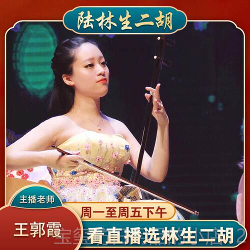 高档陆林生二胡珍版血紫檀级藏专演奏独奏型业成人通用乐器厂家直
