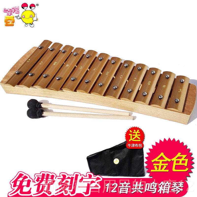 正品小学生122音生敲琴0铝片音琴回音箱共鸣底座8音铝板琴音学条