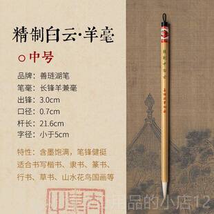 正品善琏健湖笔隶大白云中毛笔兼毫初学儿童加羊湖毫笔楷书书小学