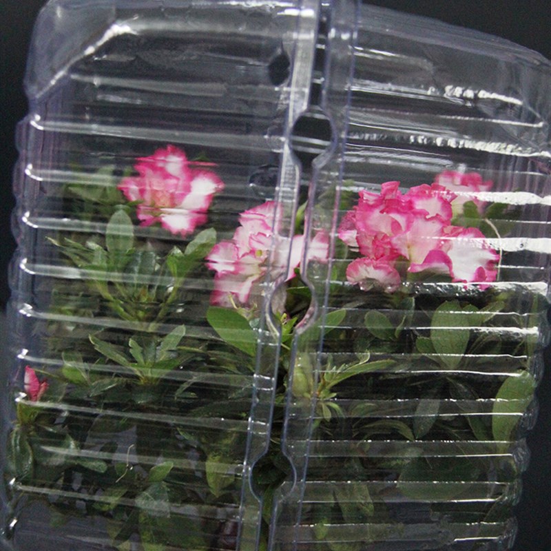 15CM花盆外包装盒绿植盆栽运输盒花盒花苗泡壳PVC吸塑打包盒定制