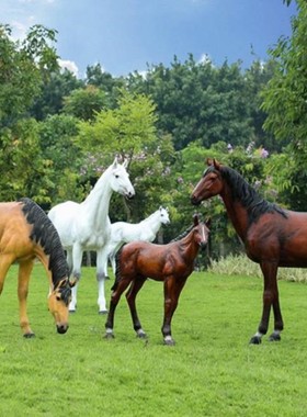 商场白马牧场马仿真摆件客厅门市。摆设花园拍照草原广场办公室仿