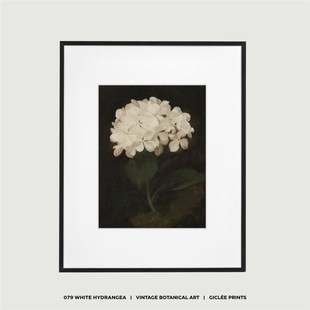 WED 黑白植物绣球花中古油画装 饰画 简约现代客厅画芯挂画 WORKS