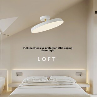 特殊Led吊灯适用于斜屋顶阁楼斜屋顶覆式 纳维亚吸 阳台走廊斯堪