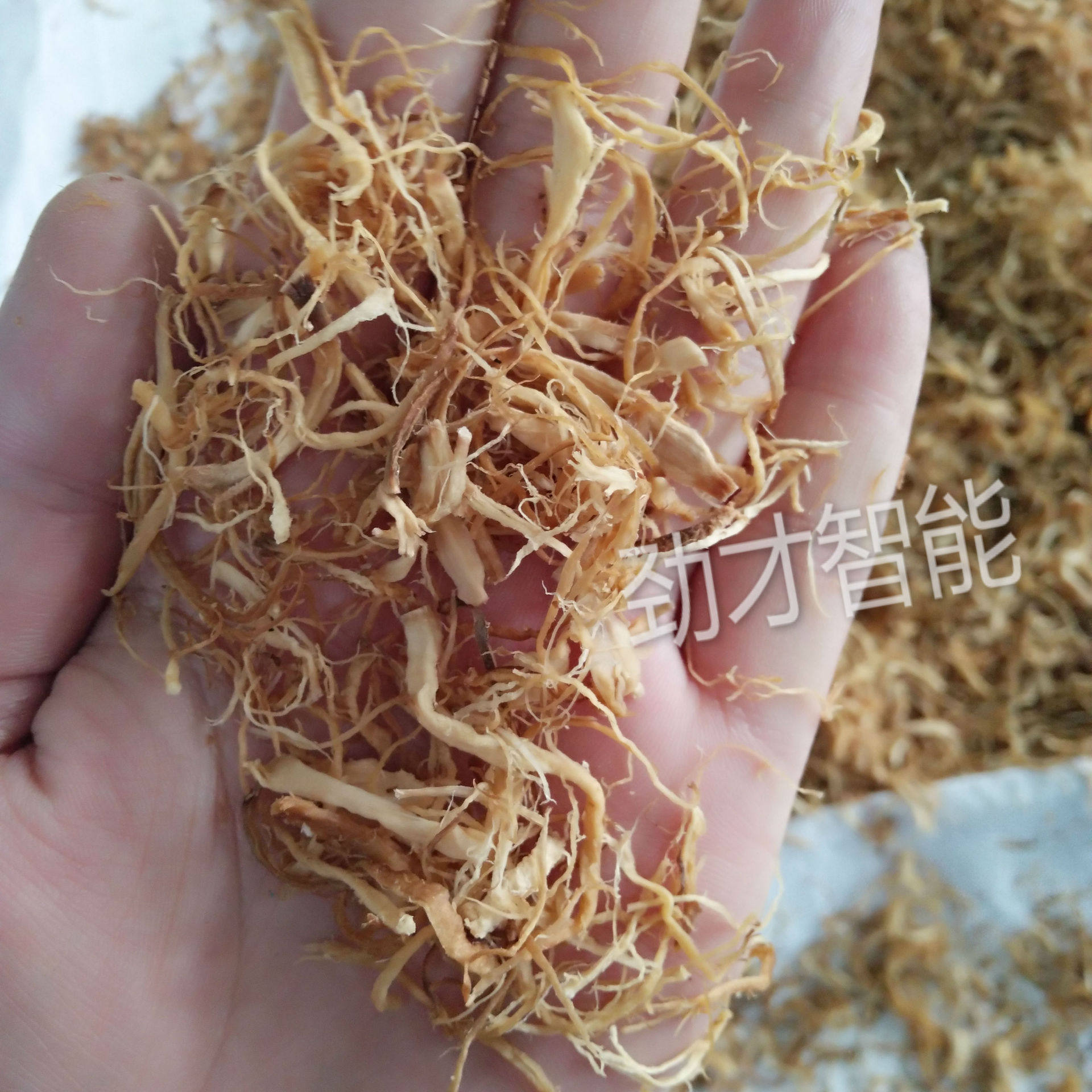 香菇丝茸香菇腿打松拉丝机JC-CSJ