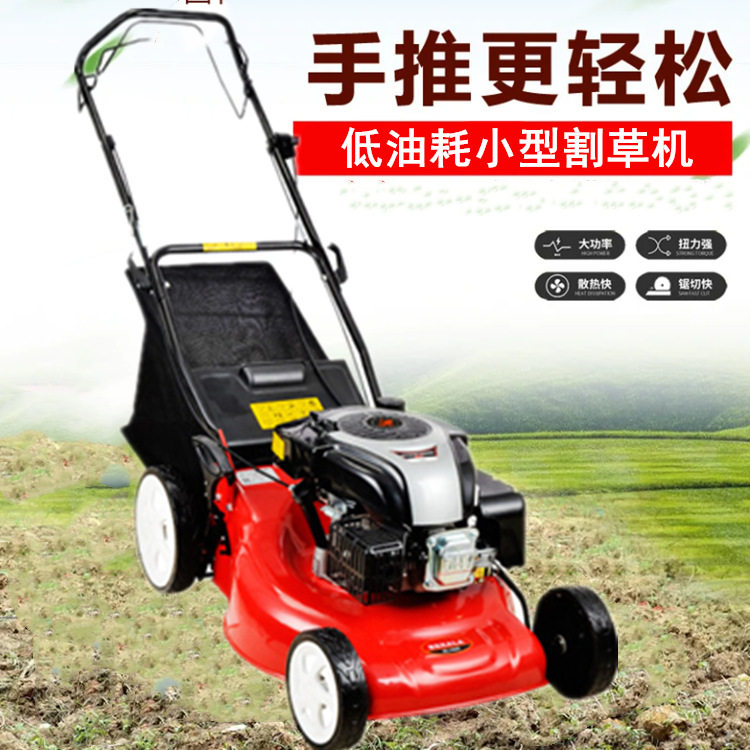 足球场绿地草坪修剪机小型汽油割草机9马力花园草地割草机
