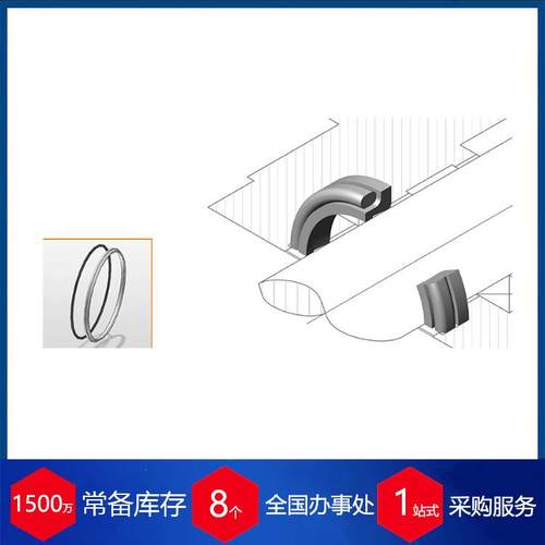 优势供应德国轴密封 C1R