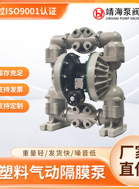 ARO英格索兰同款PP塑料气动隔膜泵化工胶水污水泵橡胶四氟