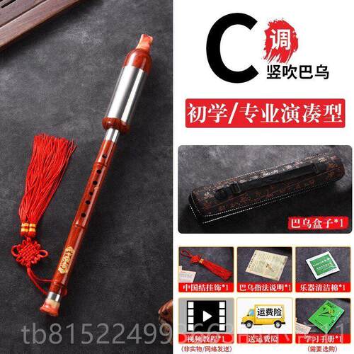 正品巴乌横吹树脂竖吹乐仿木C调B调G调F调小学巴生成人演红奏初学