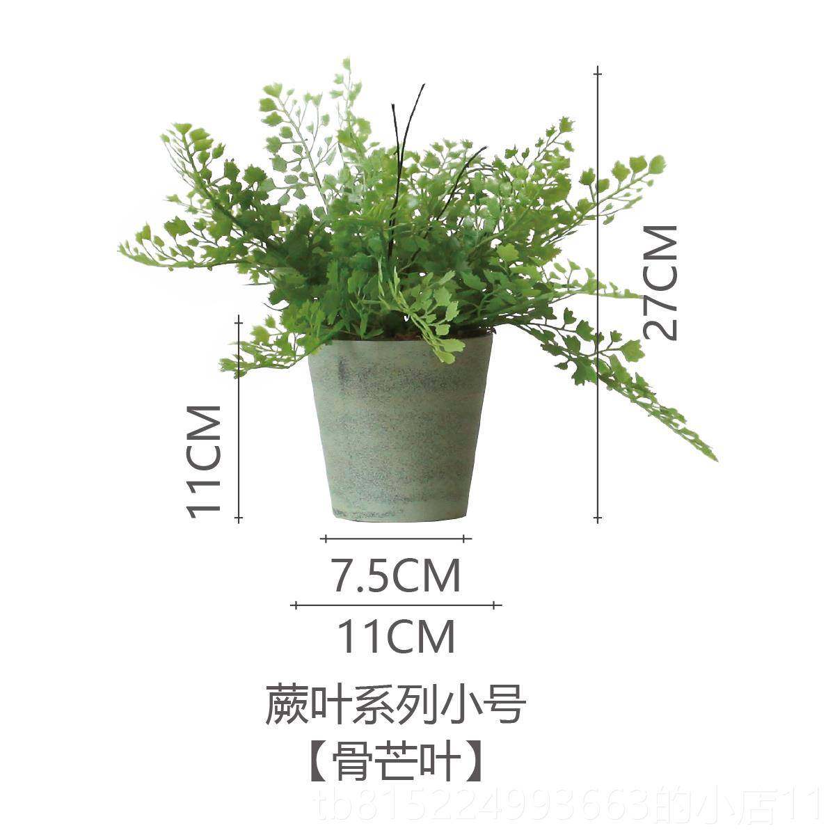 正品西西隔里真植物蕨草 基款桌础面绿植家居书柜板餐仿厅办公室