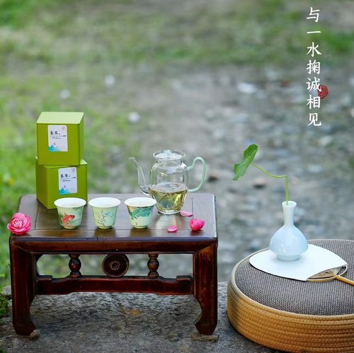 绿茶茶具礼盒套装以茶相待2023设计款新茶杯茶壶茶叶包装一容一饰