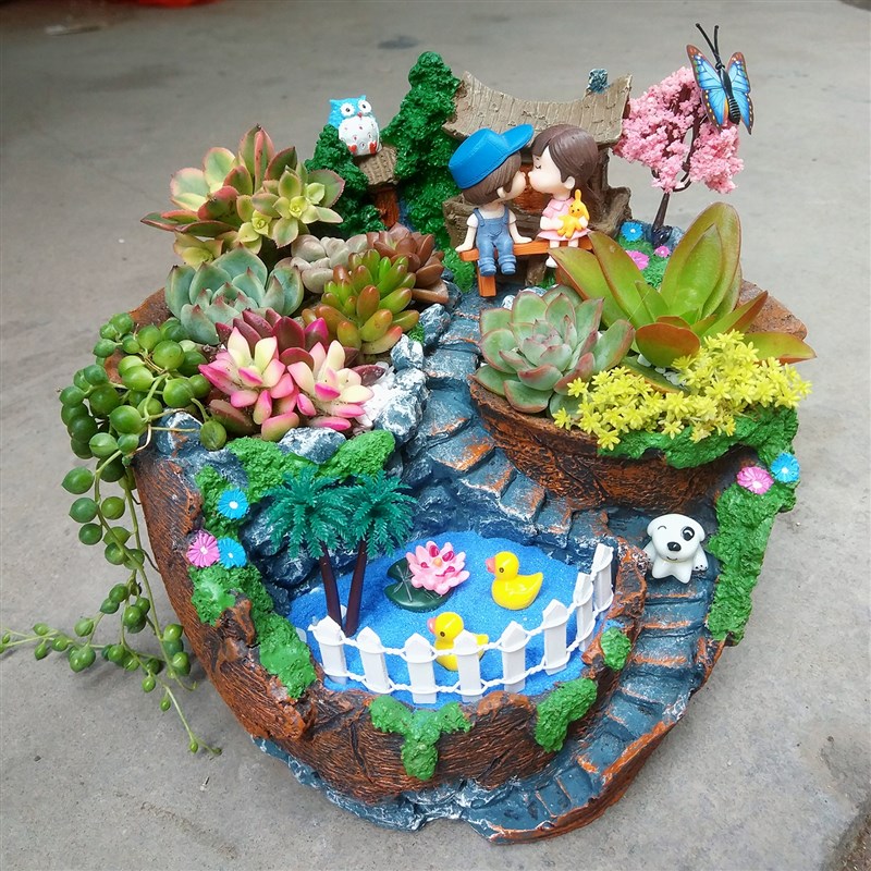 创意微景观多肉植物盆栽餐 多肉花盆DIY拼盘含盆土创意礼品