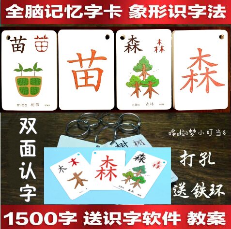 启蒙0-3-6岁有图幼儿童早教识字卡片象形全脑记忆早教卡认字大卡