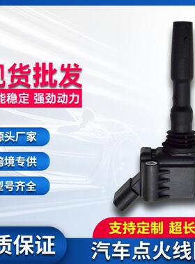 汽车点火线圈 04C905110A 04C905110B 04C905110C 04E-905-110C