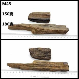 正品黑龙江木化冰河时期天然树玉化硅化原石摆木件观石赏石标本礼