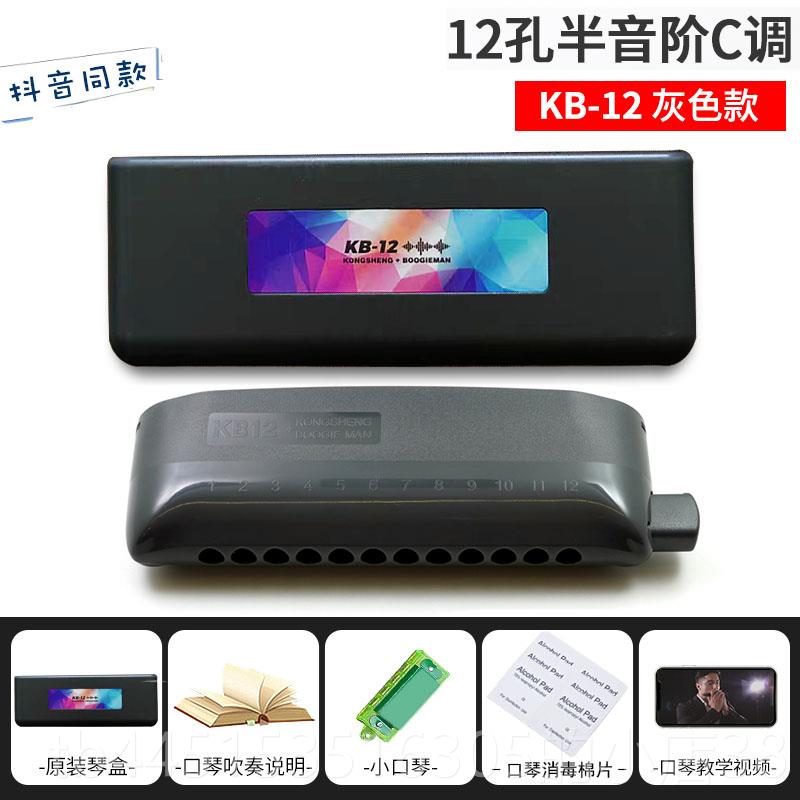 正品KB-初12 半音阶口琴专演奏12孔业4音8c调学者入门学生演奏乐