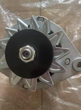 BUKH卜克DV48RME发电机A13N148发电机A13N149发电机