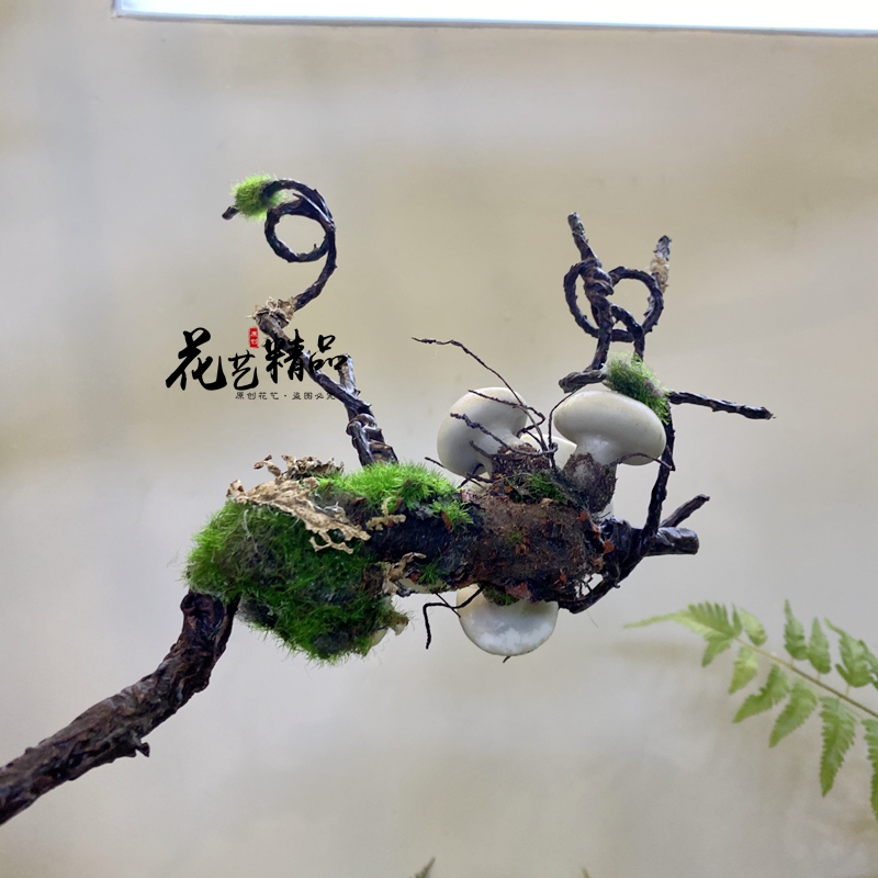 可造型藤丝小蘑菇枯藤枯山水造景仿真花植物橱窗石头假山装饰品