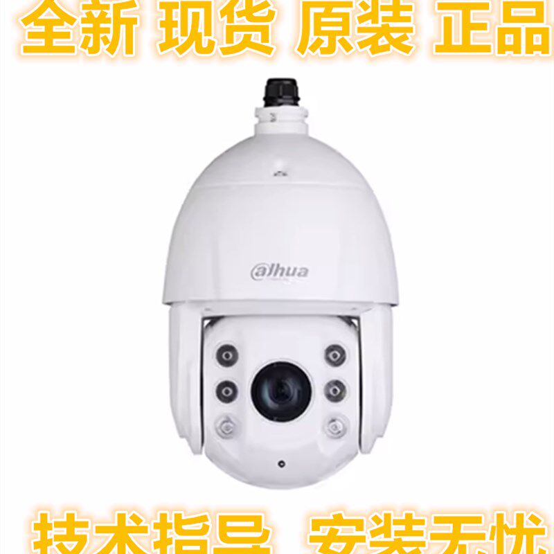 大华DH-SD-6C3425-HNY-DB-D2 6寸400万25倍智能球机网络摄像机