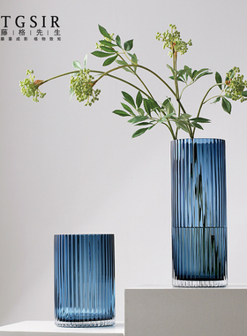 简约直筒竖条纹蓝色透明水培玻璃花瓶摆件客厅桌面装饰绿植百合插