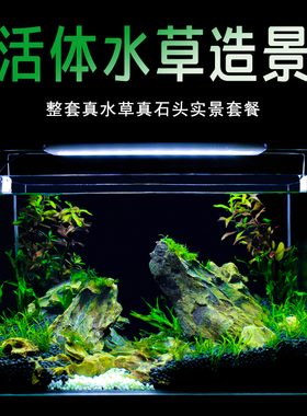 真水草鱼缸水族箱小型客厅办公室桌面家用生态草缸装饰布造景套餐