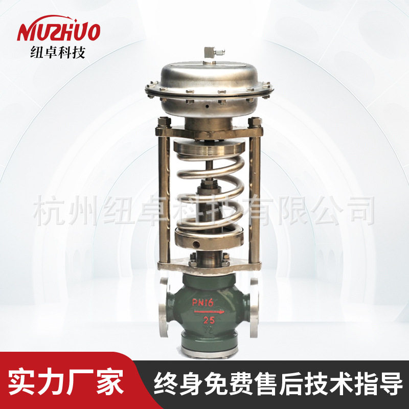 按需定制自力式蒸汽调节控制阀 全自动自动型弹簧式比例减压阀