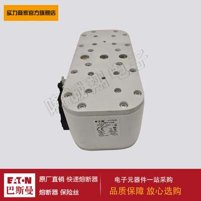 熔断器170M7149 170M7157 170M7158 170M7159 170M7160 170M7161