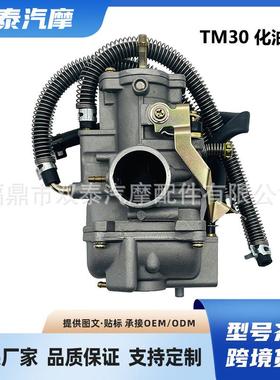 适用TM30化油器180-300cc 2/4冲程DT200WR DT200S RZ250