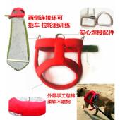 大型犬中型比特犬猛犬项圈脖套防磨金毛狗套背带加棉脖圈狗狗项