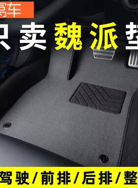 魏派300 vv5 vv7 vv6Y摩卡拿铁dht汽车脚垫主驾驶单片