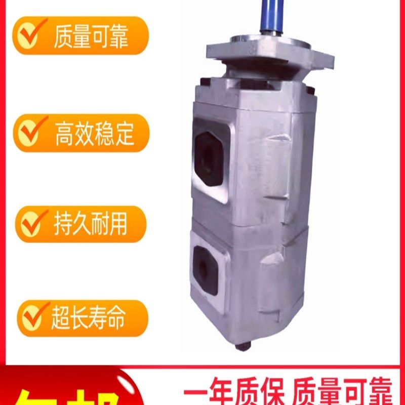 CBZ2050/2050-BFH齿轮油泵CBZ2063/2032-BFH CBZ2063/2032-BFHL,标准件/零部件/工业耗材,液压泵,淘宝优惠券,粉丝福利购,淘宝优惠卷