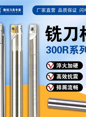 BAP300r铣刀杆加工中心刀杆飞刀杆抗震数控1135立铣刀CNC直角刀杆