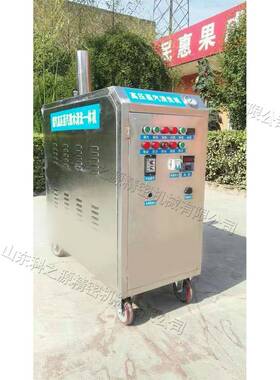 不锈钢蒸汽洗车机 汽车表面污垢清洗机 Steam washing machine
