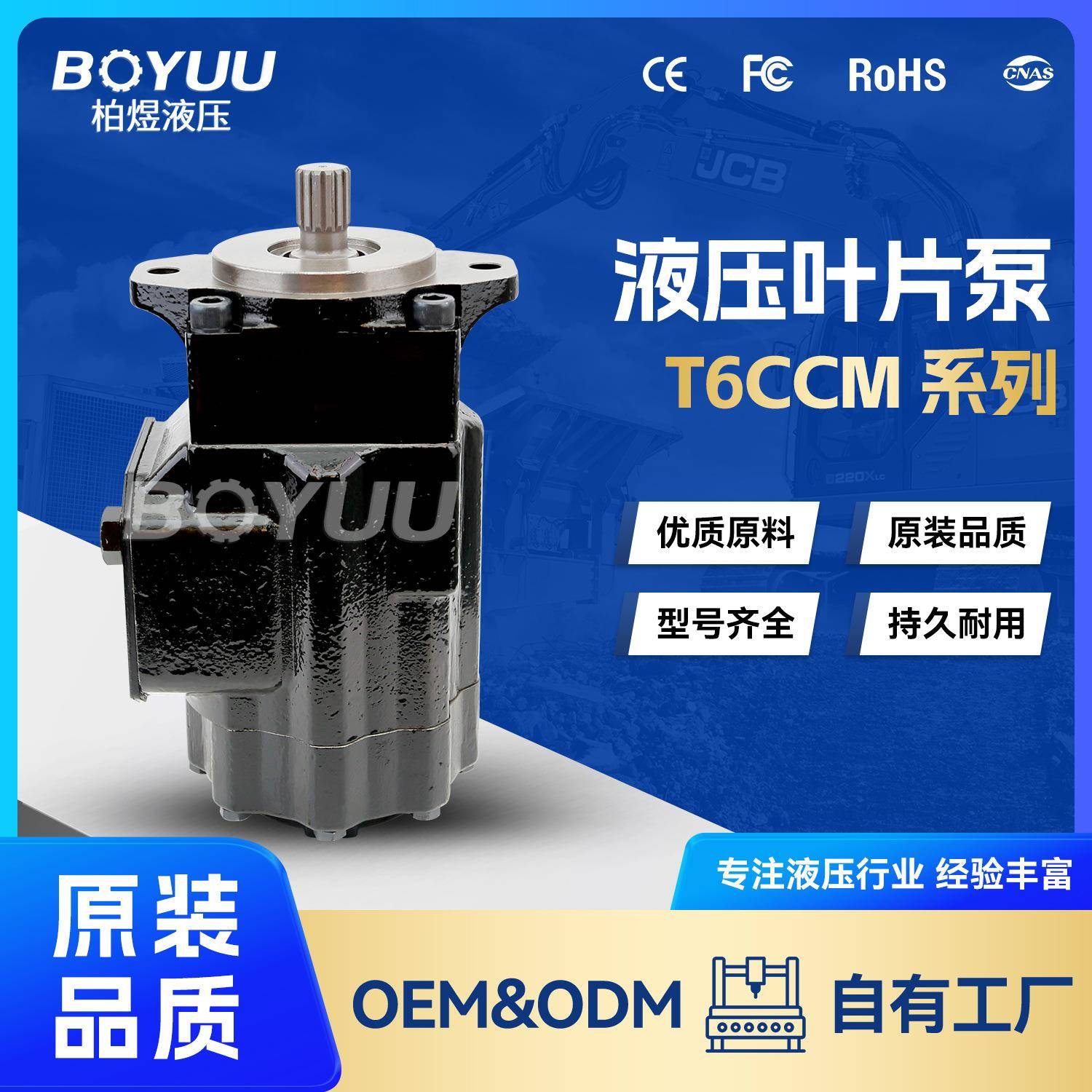 T6CCM-B31-B14-3R03-D100叶片泵 用于新能源 石油设备 厂家直销