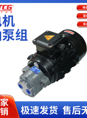 工厂直销CBB10/B6/CBB4齿轮油泵电机组0.37/0.55KW(油泵带耳)