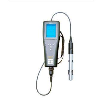 美国YSI Pro2030 溶解氧、电导率、盐度、TDS多参数水质测试仪