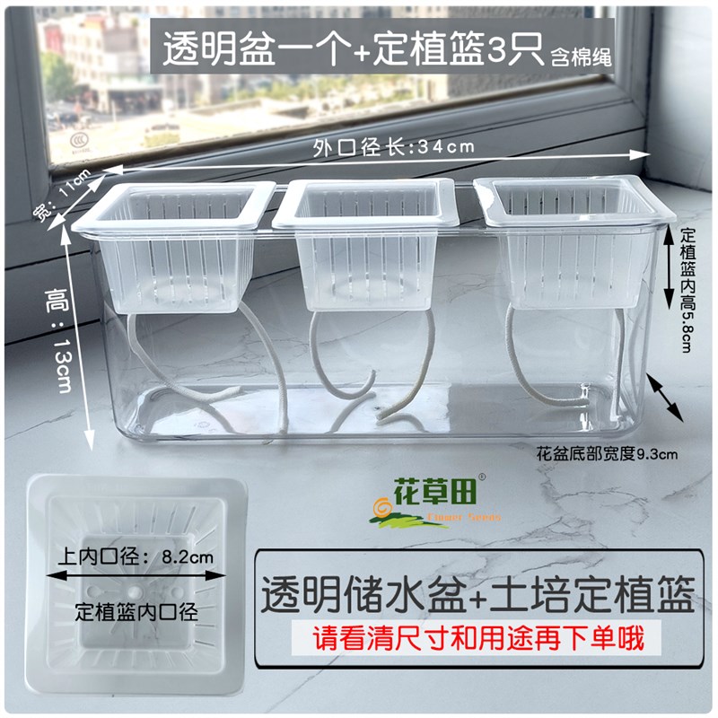 透明塑料储水花盆简约百搭水培土培定植篮种植阳台室内摆放绿萝