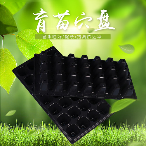穴盘育苗盘营养钵 蔬菜育苗箱 多肉育苗杯 大棚种植育秧盘 育苗盒