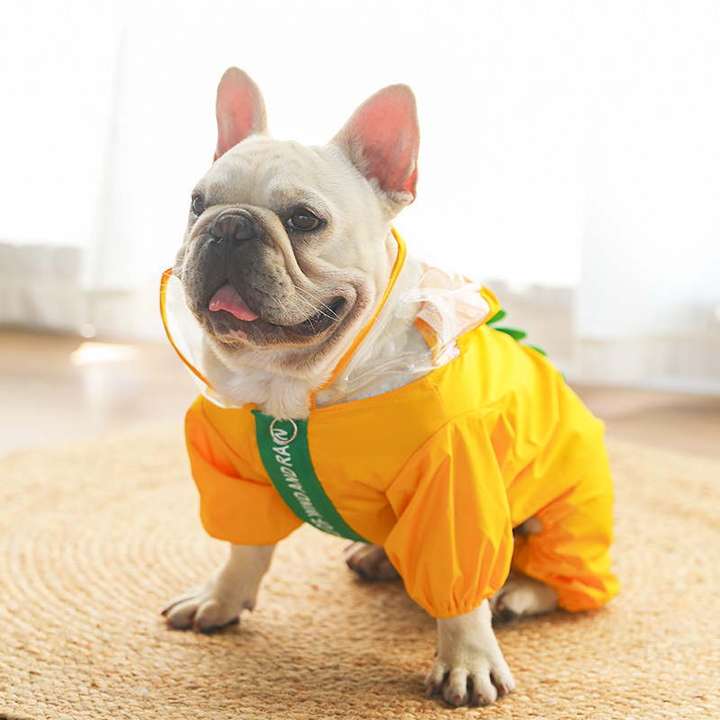 helf恐龙雨衣泰嶙狗狗 防水潮 全包 比熊犬 宠物雨披小型犬 四脚
