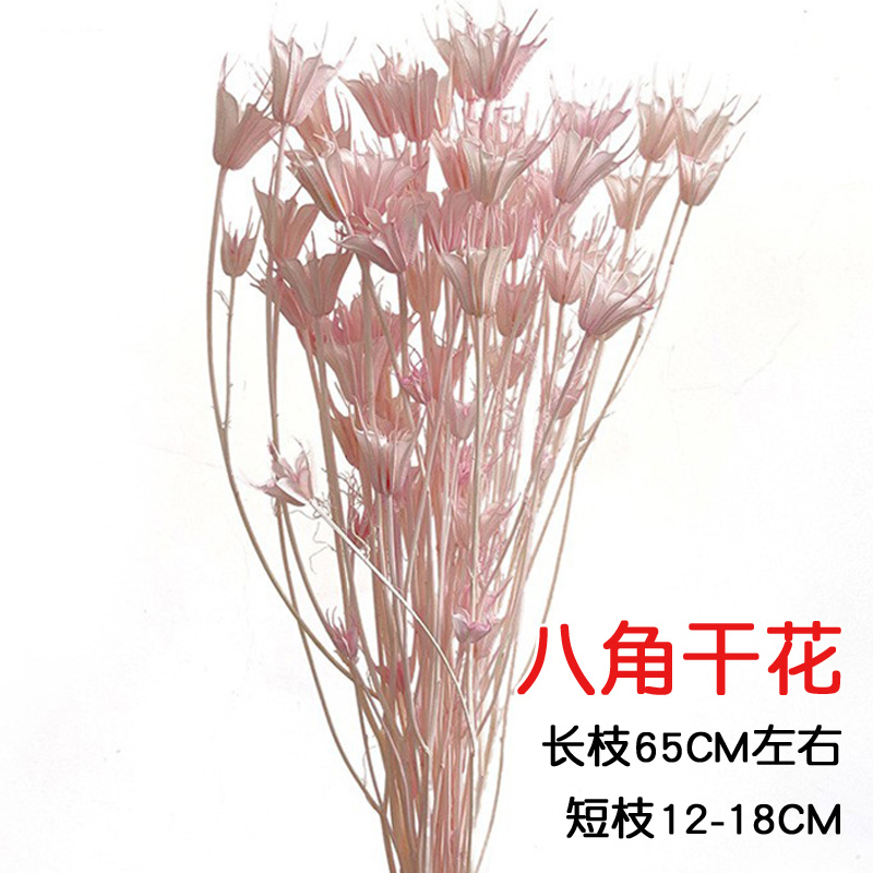 天然八角花干花包天然风干植物客厅装饰真花手工插花创意材料长枝