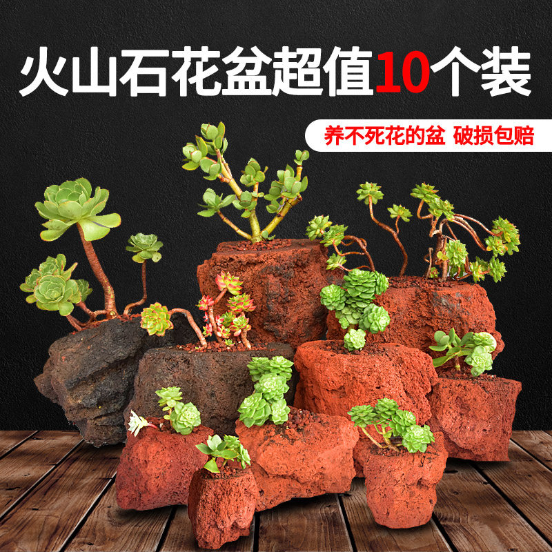 腾冲天然火山石花盆多肉石斛菖蒲文竹绿植花卉专用花盆大号特大号,鲜花速递/花卉仿真/绿植园艺,花盆,淘宝优惠券,粉丝福利购,淘宝优惠卷