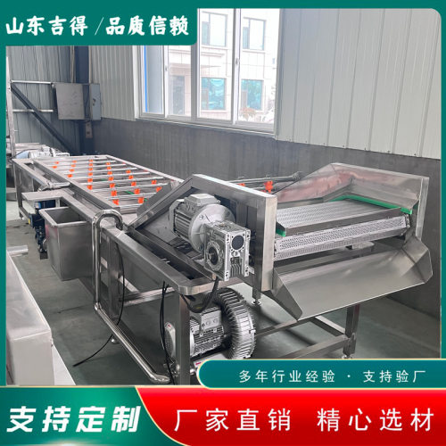羊肚菌高压清洗机 水蛭喷淋式清洗机 4米黑水虻连续式气泡清洗机