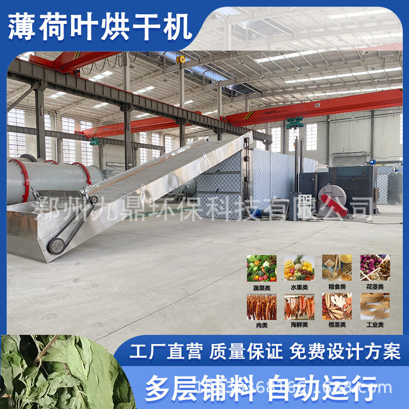 网带式薄荷叶烘干机全自动野薄荷银丹草干燥机薄荷叶茶烘干设备