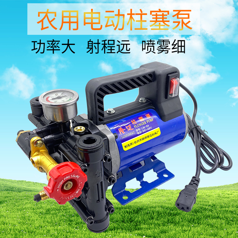 手提式打药机农用电动果树喷雾器12V48V60V222伏高压双缸柱塞药泵