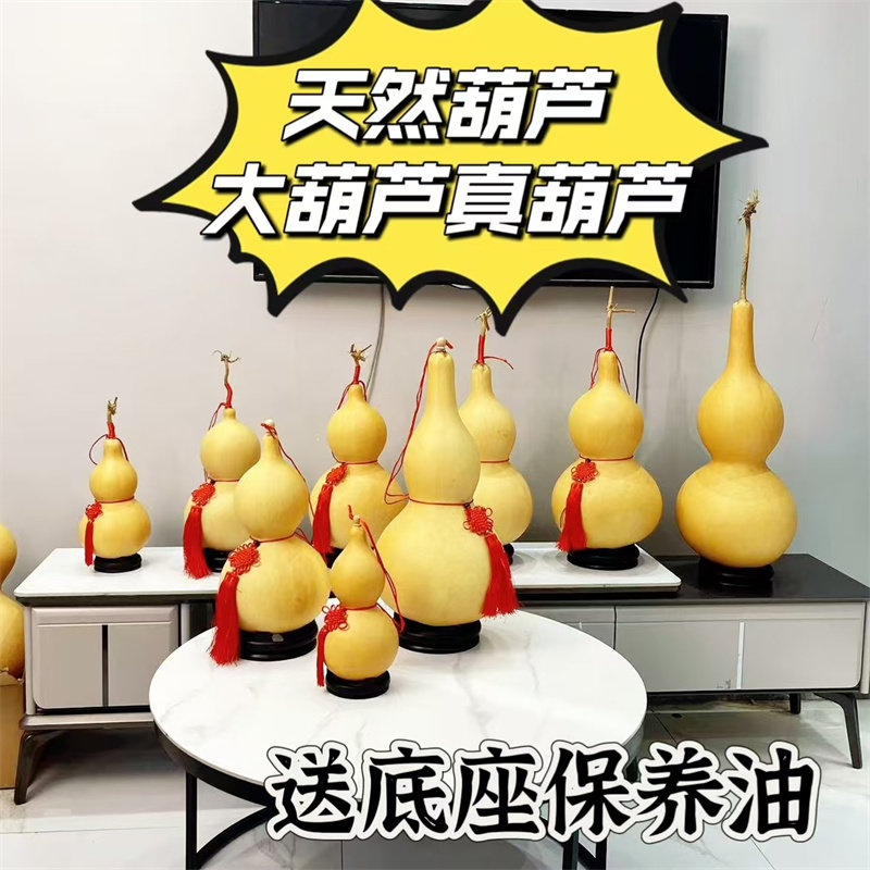 天然葫芦大葫芦摆件件开口木葫芦客厅办公带龙头真葫芦玄关大号